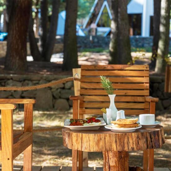 GreenPak Resort Naltar Breakfast