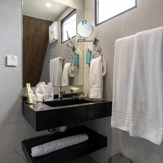 GreenPak Resort Naltar Washroom