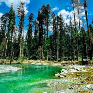Kumrat Forest