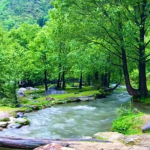 Kumrat Valley