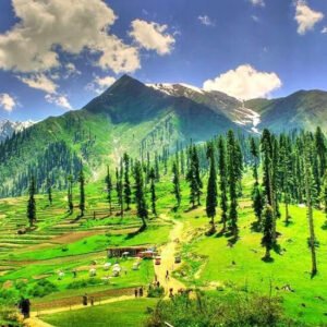 Lalazar Meadows Naran