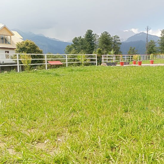 The White Castle Resort Garden