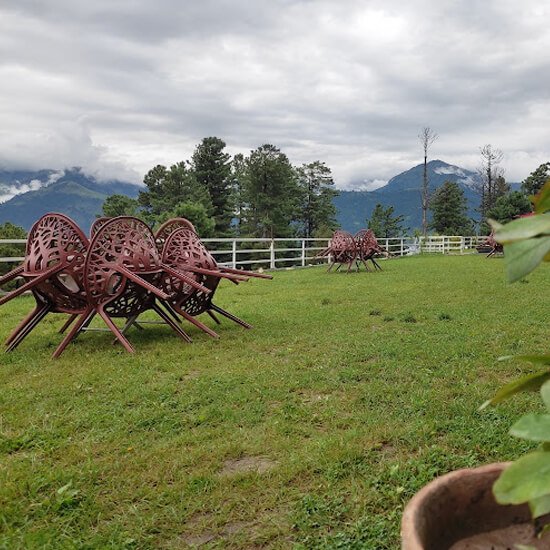 The White Castle Resort Lawn Area