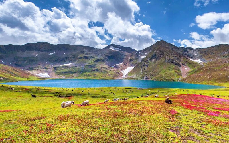 Dudipatsar Lake A Complete Travel Guide