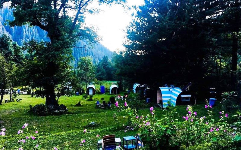 Sharan Forest A Beautiful Place in Kaghan Valley