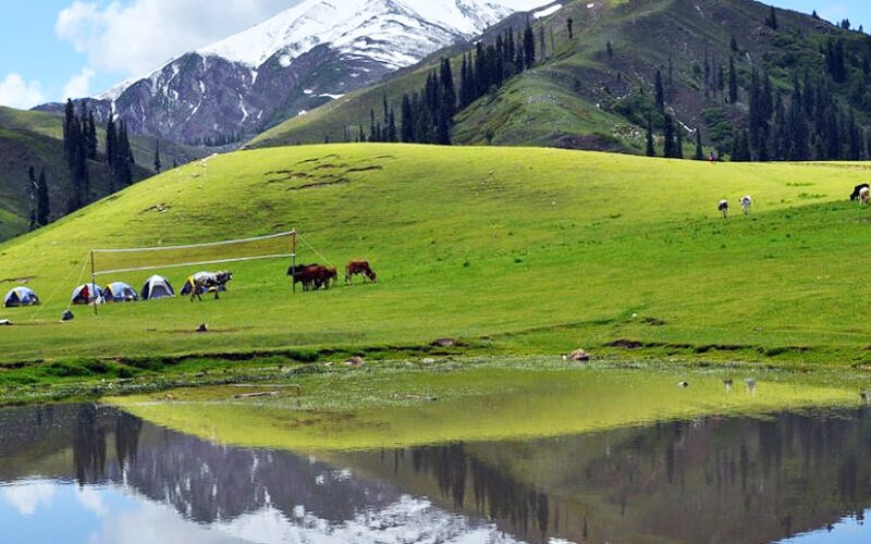 Shogran Sri Paye Meadows A Complete Jeep Rent Guide