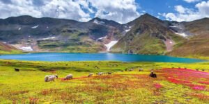 Deosai National Park