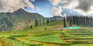 Lalazar Meadows