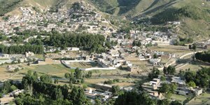 Saidu Sharif